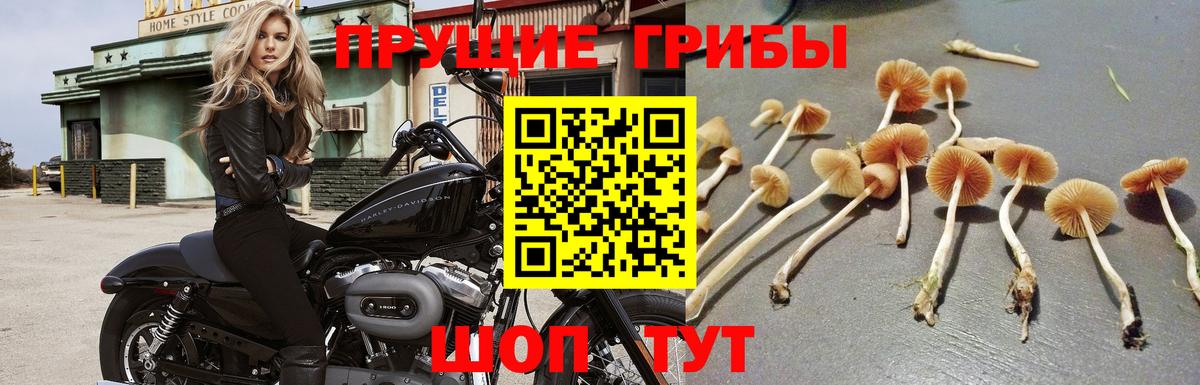 Галлюциногенные грибы ЛСД Воткинск