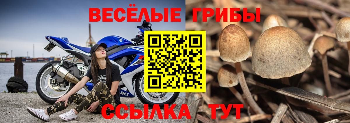 Псилоцибиновые грибы мицелий  Вход с VPN  Псилоцибиновые грибы Magic Shrooms  Воткинск 